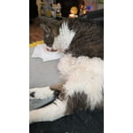 Image 2 of customer photos