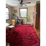 Image 4 of customer photos