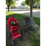 Image 7 of customer photos