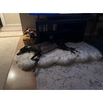 Image 4 of customer photos