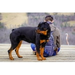 Image 3 of customer photos