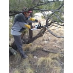 Image 6 of customer photos