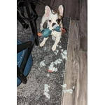 Image 7 of customer photos