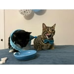 Image 3 of customer photos