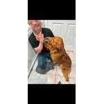 Image 6 of customer photos