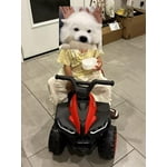 Image 5 of customer photos