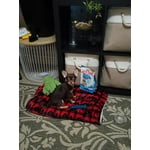 Image 4 of customer photos