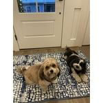 Image 3 of customer photos