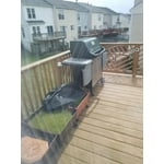 Image 5 of customer photos