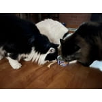 Image 2 of customer photos