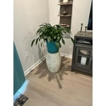 Image 6 of customer photos