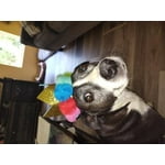 Image 3 of customer photos