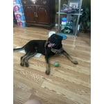 Image 4 of customer photos