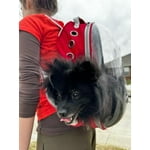 Image 3 of customer photos