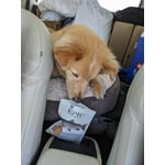 Image 7 of customer photos