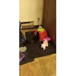 Image 2 of customer photos