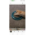 Image 7 of customer photos