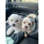 Image 3 of customer photos