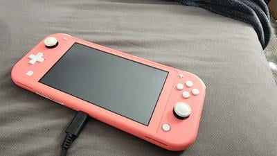 Nintendo Switch Lite グレー 2025年製 Nintendo Switch Lite - Gray