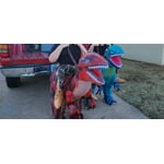 Image 3 of customer photos