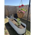 Image 2 of customer photos