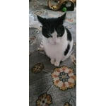 Image 7 of customer photos