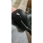 Image 4 of customer photos