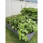 Image 6 of customer photos