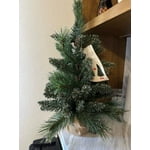 Image 6 of customer photos