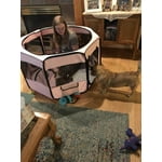 Image 5 of customer photos