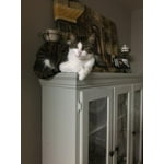 Image 5 of customer photos