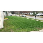 Image 4 of customer photos