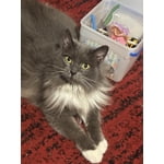 Image 7 of customer photos