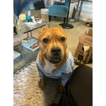 Image 5 of customer photos