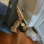 Image 6 of customer photos