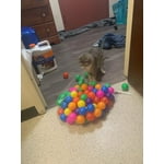 Image 1 of customer photos