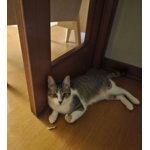 Imagen 6 de las fotos del cliente