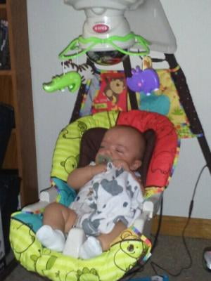 fisher price luv you zoo swing