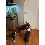 Image 1 of customer photos
