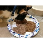 Image 7 of customer photos