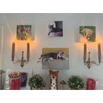 Image 2 of customer photos