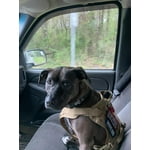 Image 5 of customer photos