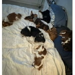 Image 3 of customer photos