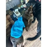 Image 3 of customer photos