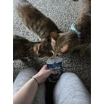 Image 3 of customer photos