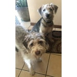 Image 5 of customer photos