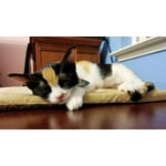 Image 1 of customer photos