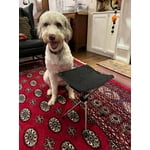 Image 2 of customer photos