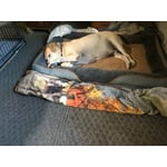 Image 4 of customer photos