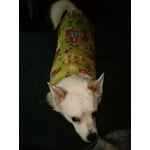 Image 4 of customer photos